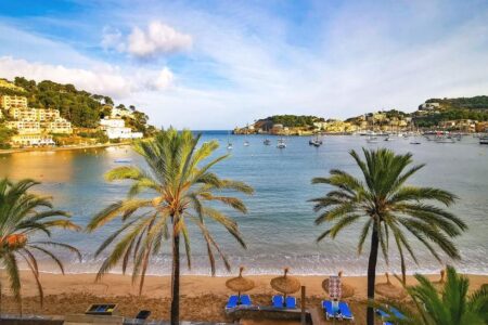Exciting Mallorca Quarterfinal Showdowns: Griekspoor Takes on Diallo, Michelsen Faces Bautista Agut!