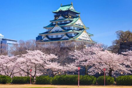 Osaka Moves On: A New Chapter Begins with Coach Wiktorowski