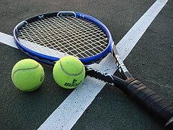 Game Changer: How AI is Transforming Racket and String Reviews in Tennis