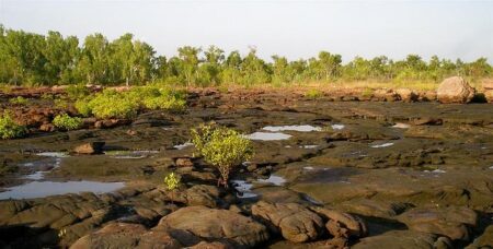 Kimberly Birrell Celebrates Engagement to Matt Fraser with Stunning Photos and a Dazzling Ring!