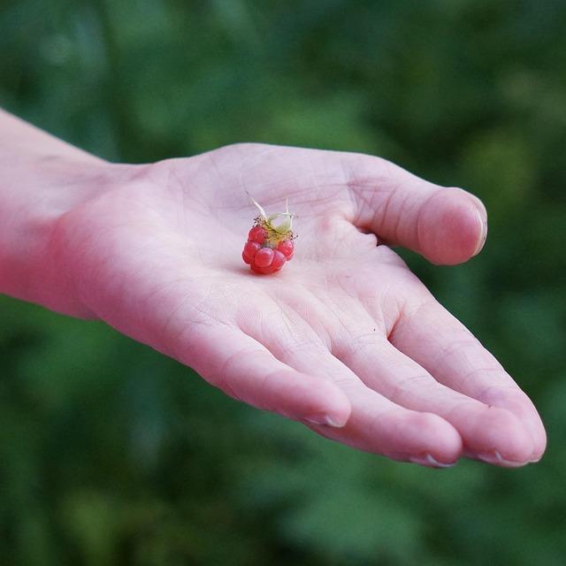 Texas A&M Tennis Teams Shine with Four NCAA Championship Bids at ITA Central Sectional Championships! Texas A&M Tennis Teams Shine with Four NCAA Championship Bids at ITA Central Sectional Championships!