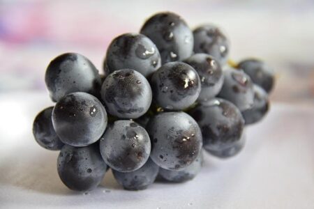 Men’s Tennis: UVA’s Dahlberg and Dietrich capture NCAA Doubles Championship – Jerry Ratcliffe