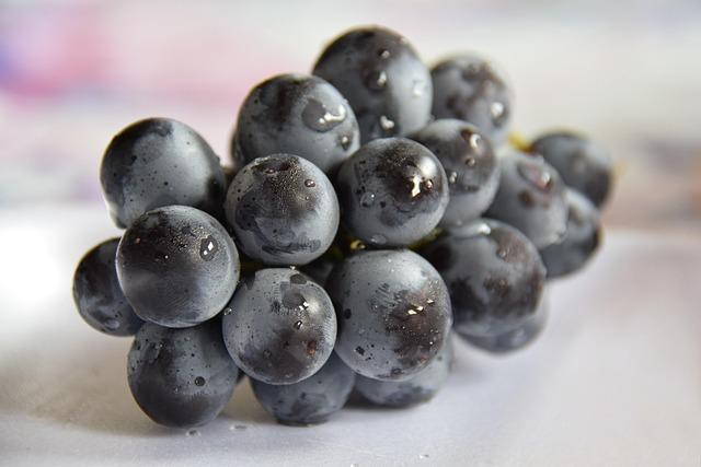 UVA’s Dynamic Duo: Dahlberg and Dietrich Clinch NCAA Doubles Championship!