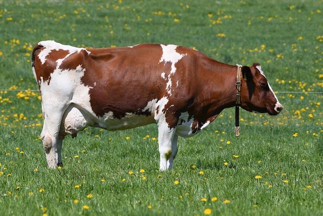 Caroline Garcia Prioritizes Principles Over Profit by Turning Down 0,000 Sponsorship Caroline Garcia Prioritizes Principles Over Profit by Turning Down 0,000 Sponsorship