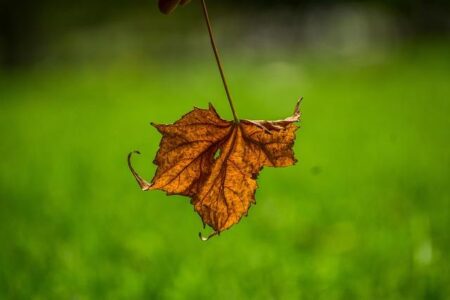 Nitto ATP Finals championship match preview and prediction: Alcaraz vs. Sinner Nitto ATP Finals championship match preview and prediction: Alcaraz vs. Sinner