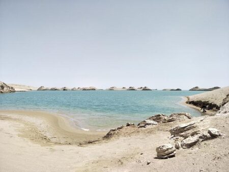 Saint Mary’s Athletics Welcomes Dan Cardiff as New Head Coach for Men’s Tennis! Saint Mary’s Athletics Welcomes Dan Cardiff as New Head Coach for Men’s Tennis!