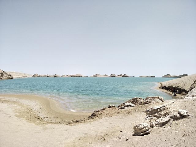 Saint Mary’s Athletics Welcomes Dan Cardiff as New Head Coach for Men’s Tennis! Saint Mary’s Athletics Welcomes Dan Cardiff as New Head Coach for Men’s Tennis!