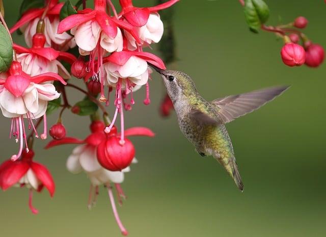 Anna Kournikova and Enrique Iglesias Joyfully Welcome Their Fourth Child!