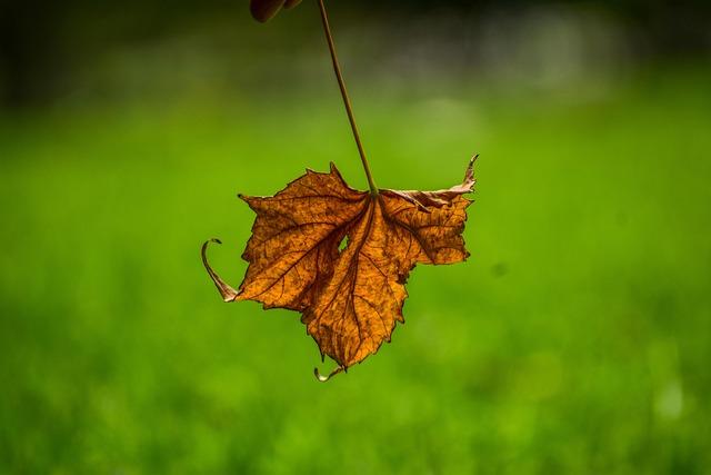 Exciting Showdowns Ahead: Tien vs. Jodar and Landaluce vs. Budkov Kjaer at the NextGen ATP Finals!