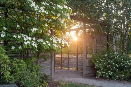 Iga Swiatek Dismisses 2025 ‘Battle of the Sexes’ Talk, Champions Women’s Tennis Independence Iga Swiatek Dismisses 2025 ‘Battle of the Sexes’ Talk, Champions Women’s Tennis Independence