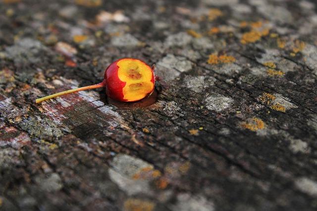 Exciting Showdowns Ahead: Bublik Battles Van de Zandschulp and Sonego Takes on Shang!