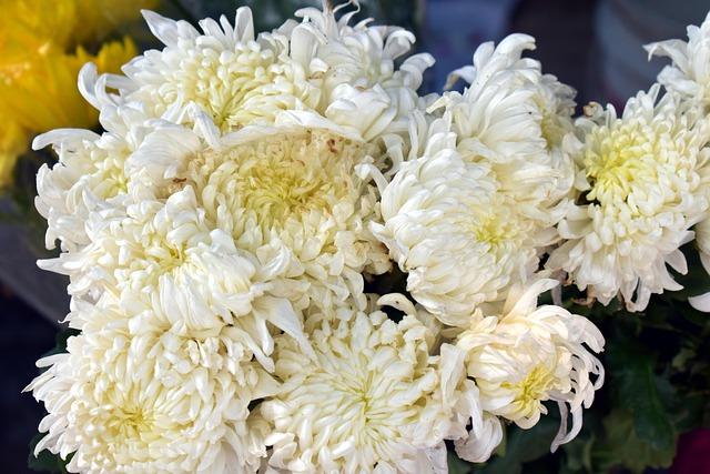 New year, new flag, new kit: Anastasia Potapova switches from Nike to Wilson