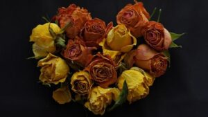 Women’s Tennis Tops Preseason WCC Poll: Grechkina and Harmon Shine on All-Preseason Team!