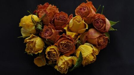 Women’s Tennis Tops Preseason WCC Poll: Grechkina and Harmon Shine on All-Preseason Team!