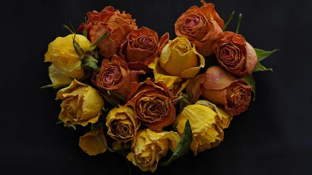 Women’s Tennis Tops Preseason WCC Poll: Grechkina and Harmon Shine on All-Preseason Team!