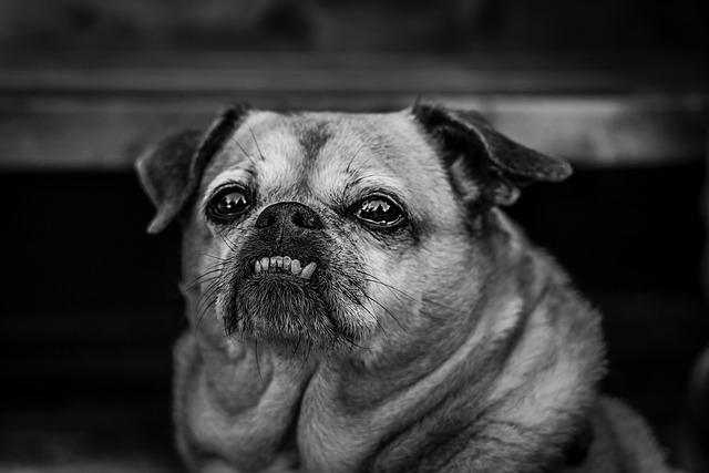 Hong Kong QF previews and predictions: Musetti vs. Wong, Bublik vs. Shang