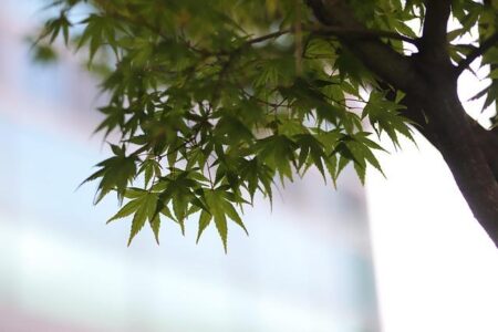 Zheng Qinwen’s Exciting Return: Get Ready for Her Comeback in Doha!