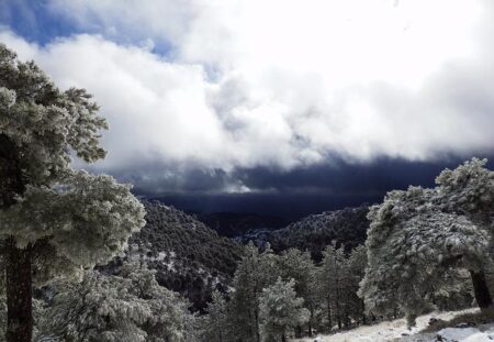Thrilling Showdown Ahead: Alcaraz Battles Khachanov and Sinner Takes on Mensik!