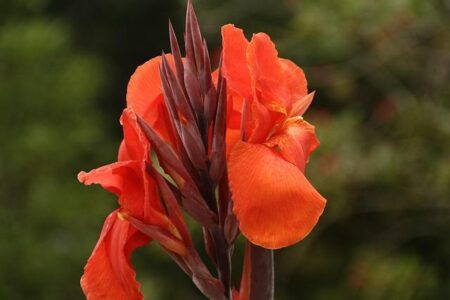 Exciting Showdowns Ahead: Rublev vs. Humbert and Khachanov vs. Brooksby in Dubai R2!