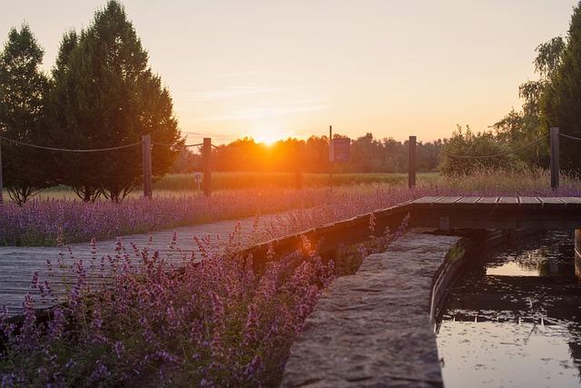 Is a Coaching Shake-Up on the Horizon? Iga Swiatek Poised to Team Up with Piotr Wozniacki!